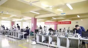 晉城畢業(yè)生新去向 國家公辦優(yōu)質(zhì)分配，電子信息技術(shù)開發(fā)專業(yè)錄滿停招